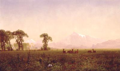 Albert Bierstadt Elk Grazing in the Wind River Country